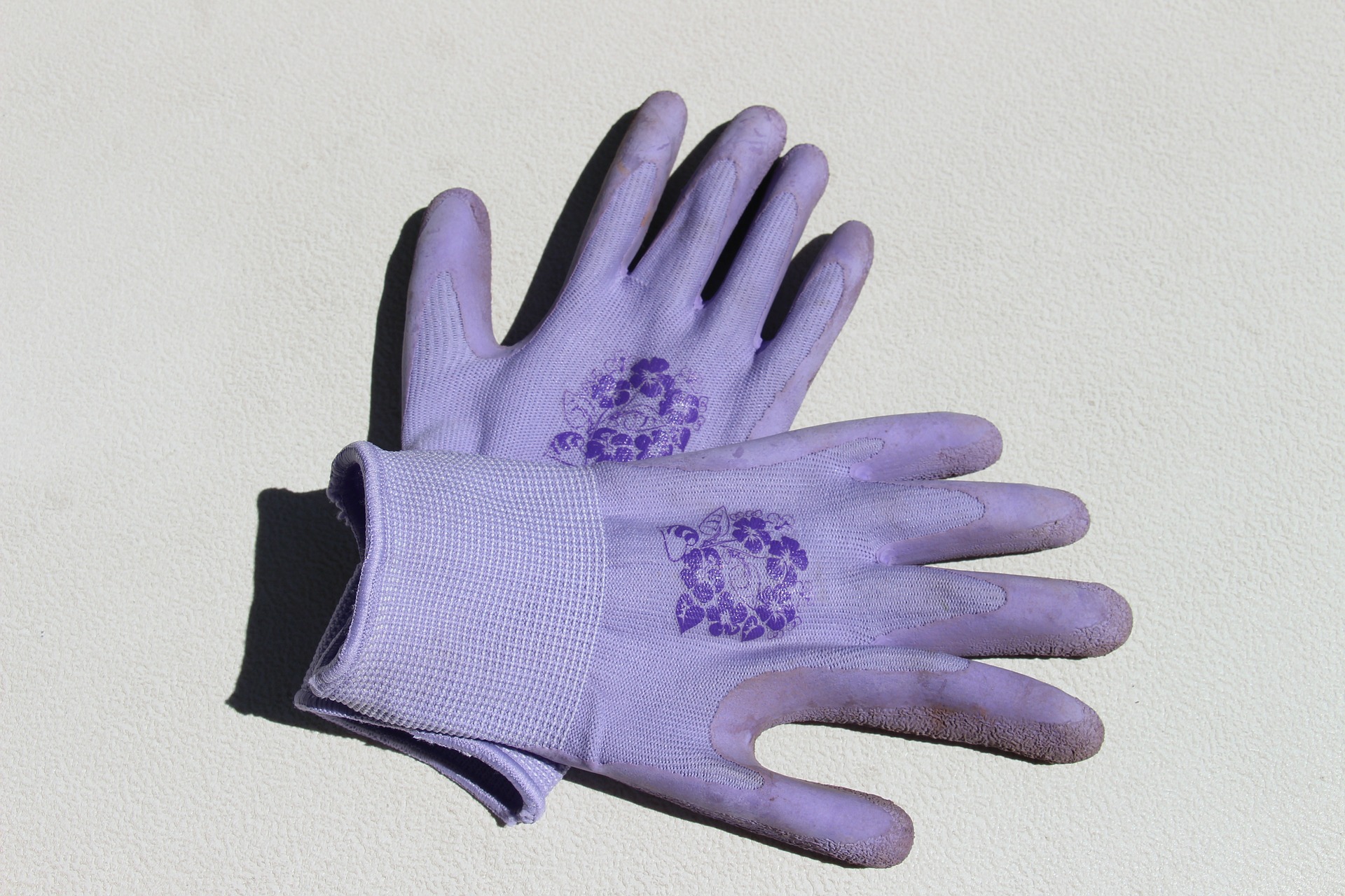 An innocent and unassuming pair of purple gardening gloves